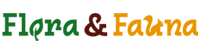 Logo 6